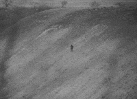 Film Walk GIF