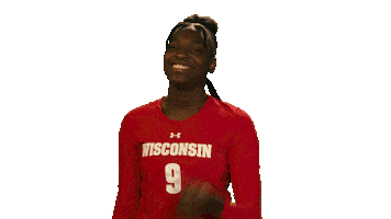 Celebrate Wisconsin Volleyball Sticker by Wisconsin Badgers