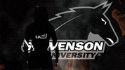 gomustangsports volleyball vb gomustangsports stevensonuniversity GIF