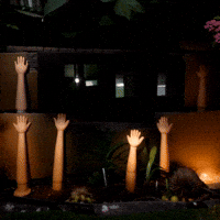 Bg Network GIF by Aleksey Efremov