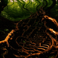 Bg Network GIF by Aleksey Efremov