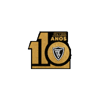 Soccer Futebol Sticker by Académico de Viseu