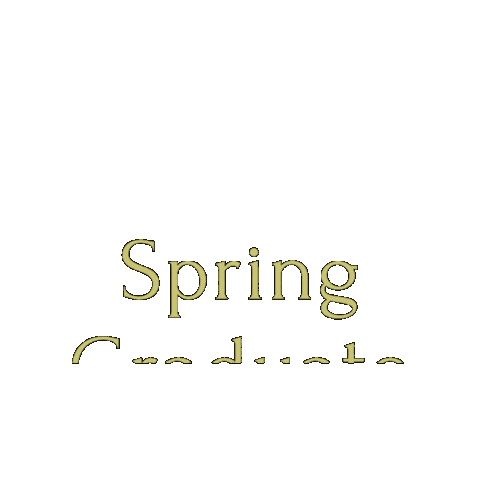 Colorado State Gold Sticker by Colorado State University Online