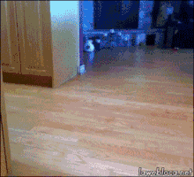rookie firefighters GIF