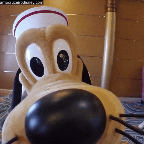 Disney Cruise Pluto GIF by Amo Cruzeiro Disney