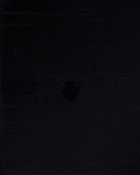 Vasco Da Gama GIF