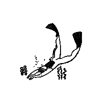 B B Swimming Sticker by Bullfrog + Baum