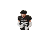 American Football Sticker by Frankfurt Galaxy