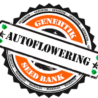 Auto Grow Sticker by genehtik