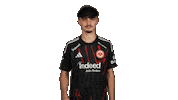 Eintracht Frankfurt Football Sticker by Bundesliga