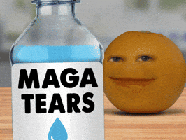 Sad Right Wing GIF