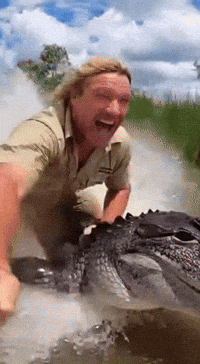 Steve Irwin Ai GIF