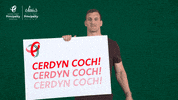Sam Warburton Reaction GIF by PrincipalityBS