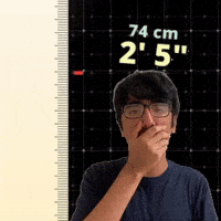 2' 5"
