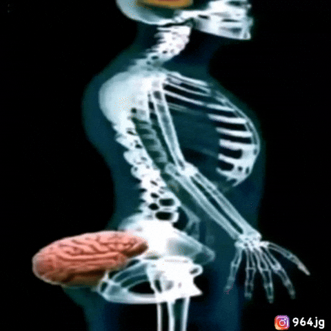 Thinking Structure GIF