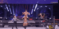 Chris Jericho Aew On Tnt GIF by All Elite Wrestling on TNT