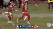 National Football League GIF by NFL
