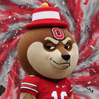 College Football Celebration GIF by Doge Pound