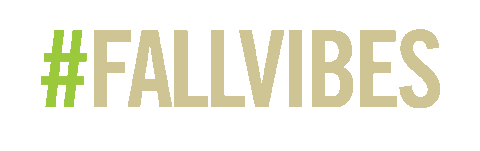 South Florida Fall Sticker by University of South Florida