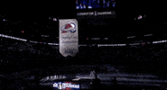 Ice Hockey Sport GIF by NHL