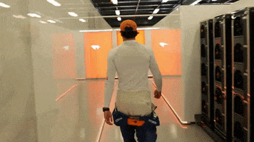 mclaren landonorris carlossainz GIF by McLaren
