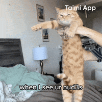 Cat Nudes GIF by Taimi