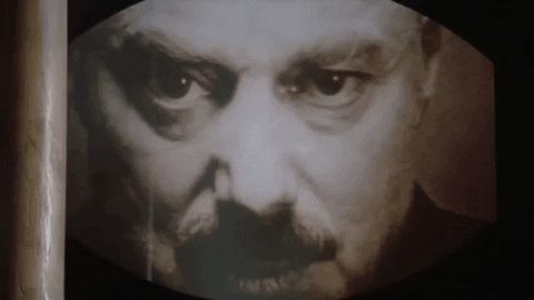 VicVik giphygifmaker GIF