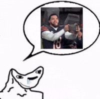 Green Bay Packers GIF