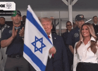 Donald Trump GIF