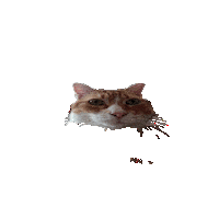 Space Cat Sticker