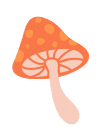 Fall Orange Sticker by Sophiekunterbunt