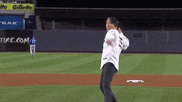 New York Yankees Sport GIF by MLB