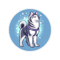 Husky Sticker by 4fluffy.shop