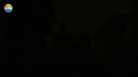 Ekin Koc Uc GIF by Show TV