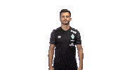 Esports Ps4 Sticker by SV Werder Bremen