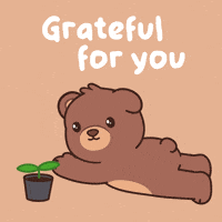 Youre The Best Teddy Bear GIF by BEARISH