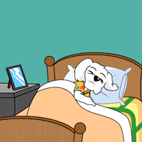 Im Ready Good Morning GIF by BoDoggos