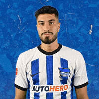 Bundesliga Ball GIF by Hertha BSC