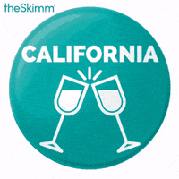 register to vote 2016 election GIF by theSkimm