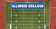 IllinoisCollege football college college football illinois GIF
