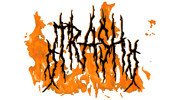 Fire Orange Sticker by SionaraVideo