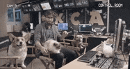 I don&#39;t know GIF by Kids' Choice Awards 2019