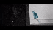 Mikey Scootie GIF by Social House