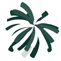 Go Green Michigan State Sticker by College Colors Day