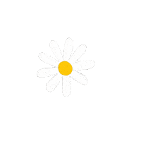 nazsaner flower daisy cicek papatya Sticker