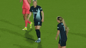 Come On Ugh GIF by National Women's Soccer League