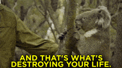 teamcoco australia conan GIF