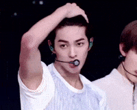 Cortis GIF