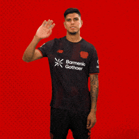 Bayer 04 Bundesliga GIF by Bayer 04 Leverkusen