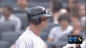 Jomboy  GIF